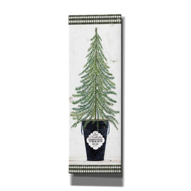'Fir Tree' by Cindy Jacobs, Canvas Wall Art