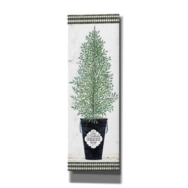 'Cedar Tree' by Cindy Jacobs, Canvas Wall Art