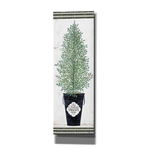 Image of 'Cedar Tree' by Cindy Jacobs, Canvas Wall Art