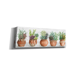 'Terracotta Pots I' by Cindy Jacobs, Canvas Wall Art