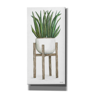 'White Pots on Stands II' by Cindy Jacobs, Canvas Wall Art