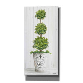 'Topiary Paris' by Cindy Jacobs, Canvas Wall Art