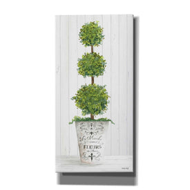 'Magnificent Topiary I' by Cindy Jacobs, Canvas Wall Art