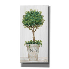 'Magnificent Topiary III' by Cindy Jacobs, Canvas Wall Art