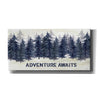 'Navy Trees Adventure' by Cindy Jacobs, Canvas Wall Art