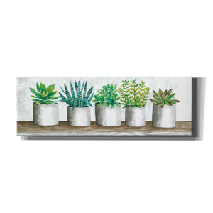 'Succulent Pots' by Cindy Jacobs, Canvas Wall Art