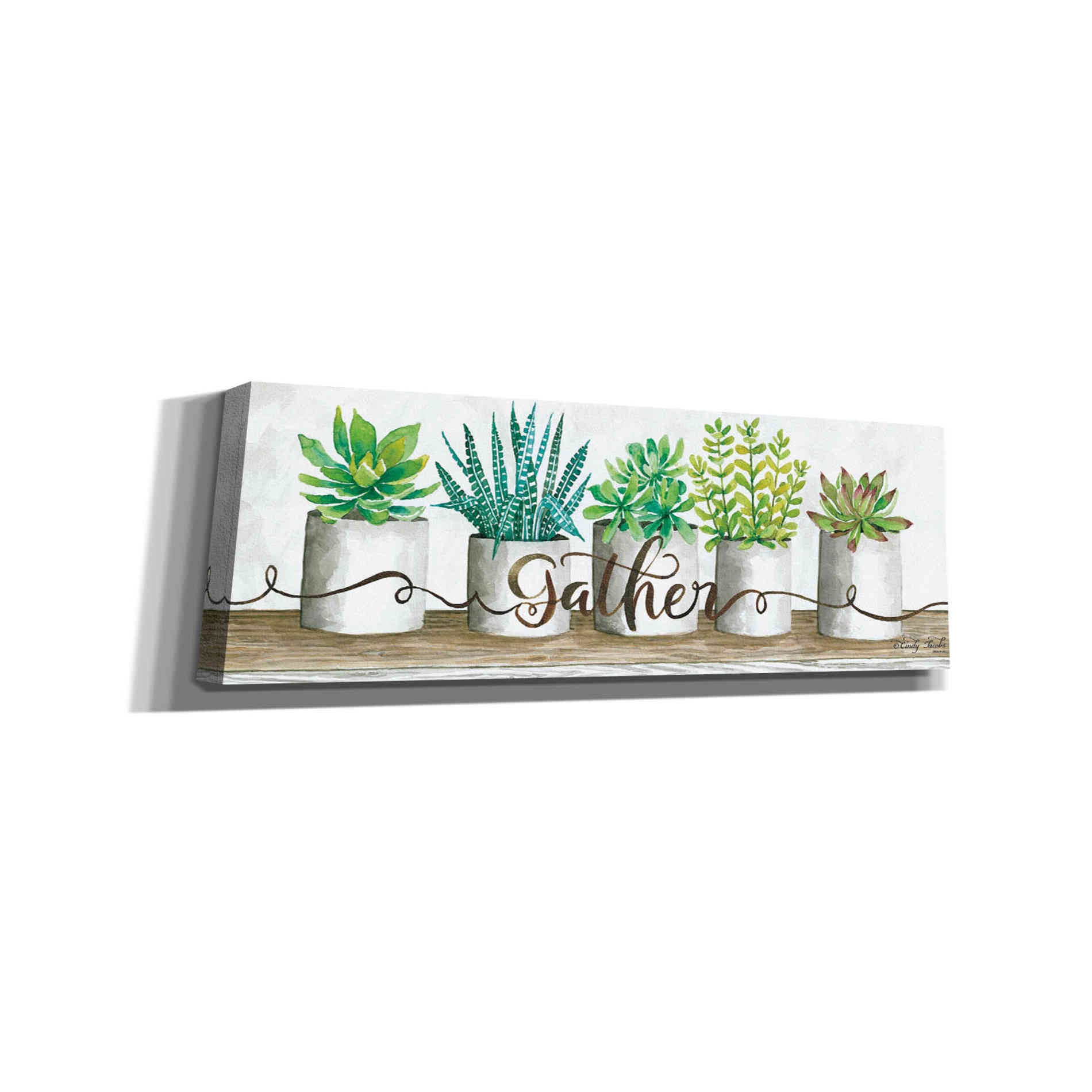'Gather Succulent Pots' by Cindy Jacobs, Canvas Wall Art