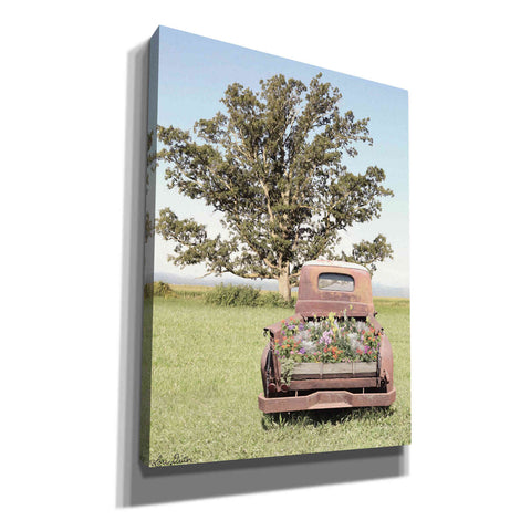 Image of 'Field of Dreams' by Lori Deiter, Canvas Wall Art
