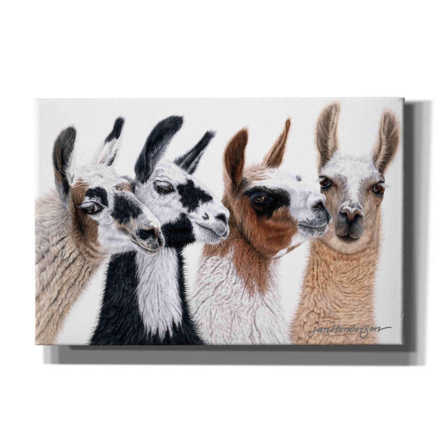 'Peruvian Visitors' by Jan Henderson, Canvas Wall Art