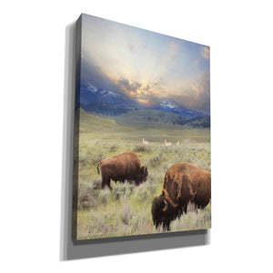'Great American West' by Lori Deiter, Canvas Wall Art
