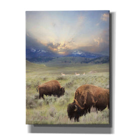 'Great American West' by Lori Deiter, Canvas Wall Art