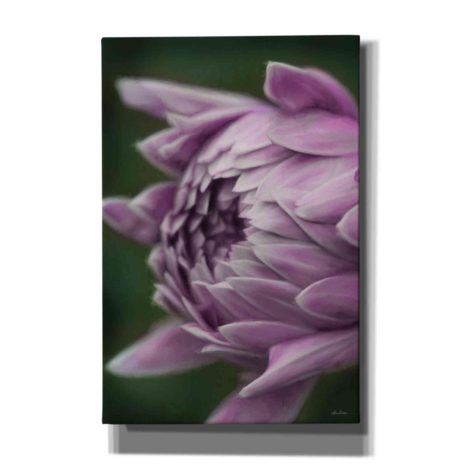 'Open Your Heart' by Lori Deiter, Canvas Wall Art
