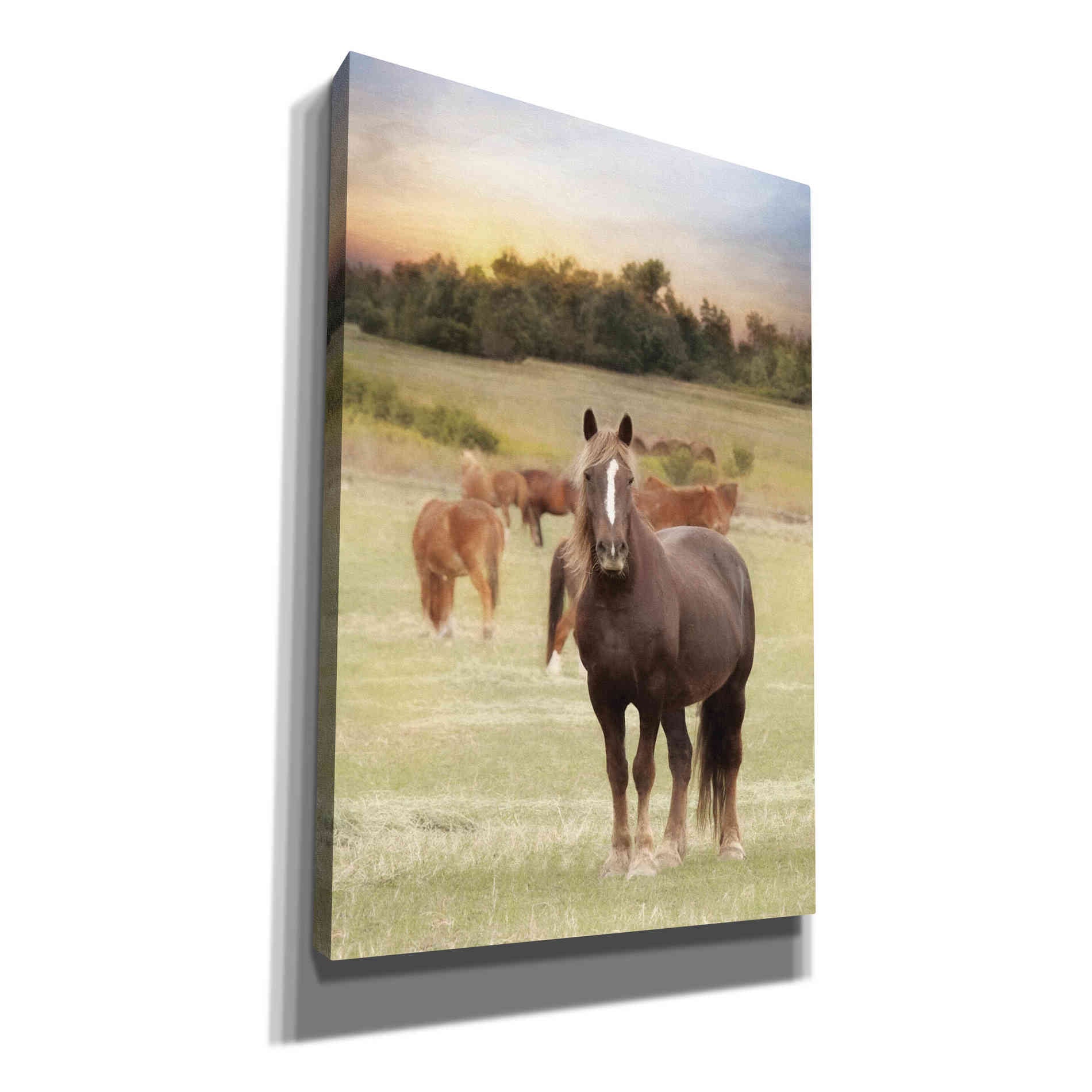 'Jackson Horse Farm' by Lori Deiter, Canvas Wall Art