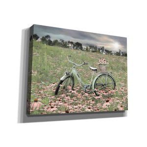 'Sagebrush Bicycle' by Lori Deiter, Canvas Wall Art