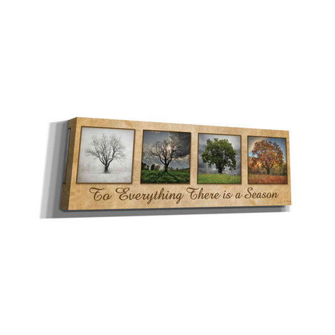 Image of 'There is a Season' by Lori Deiter, Canvas Wall Art