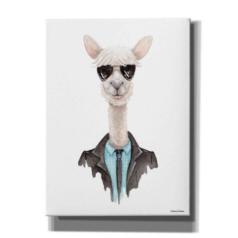 Image of 'Alpaca in Aviators' by Rachel Nieman, Canvas Wall Art