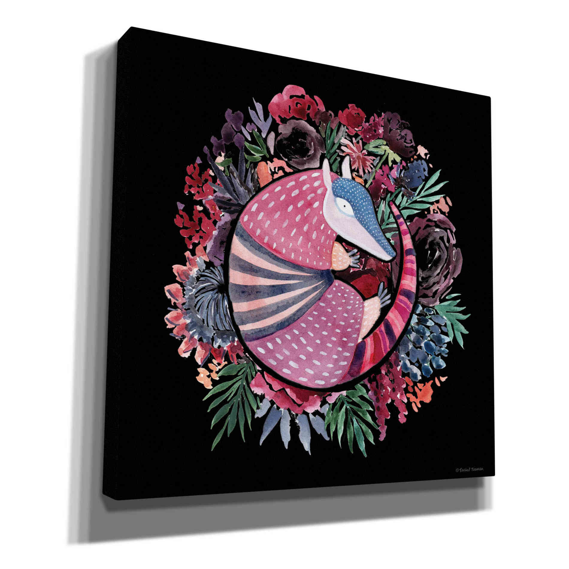 'Armadillo Palace' by Rachel Nieman, Canvas Wall Art