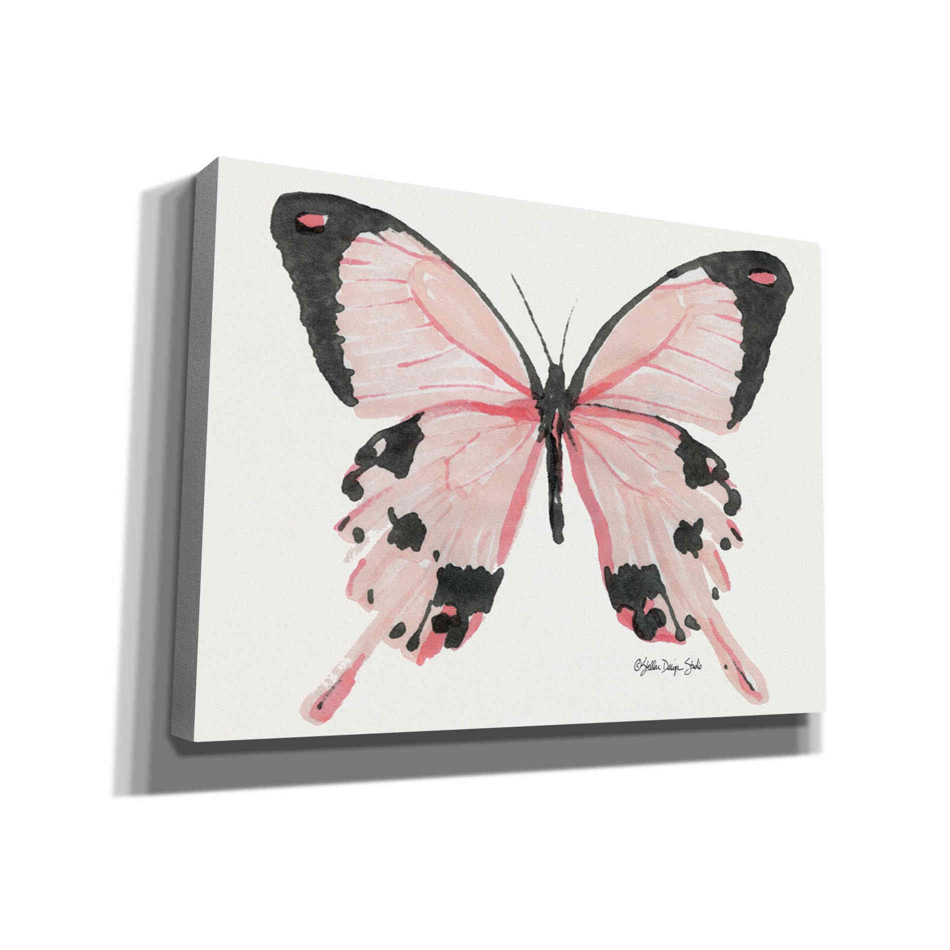 'Butterfly 1' by Stellar Design Studio, Canvas Wall Art