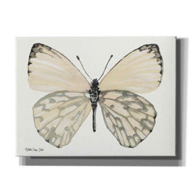'Butterfly 2' by Stellar Design Studio, Canvas Wall Art