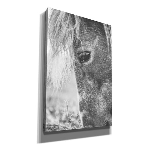 Image of 'Old Faithful' by Donnie Quillen, Canvas Wall Art