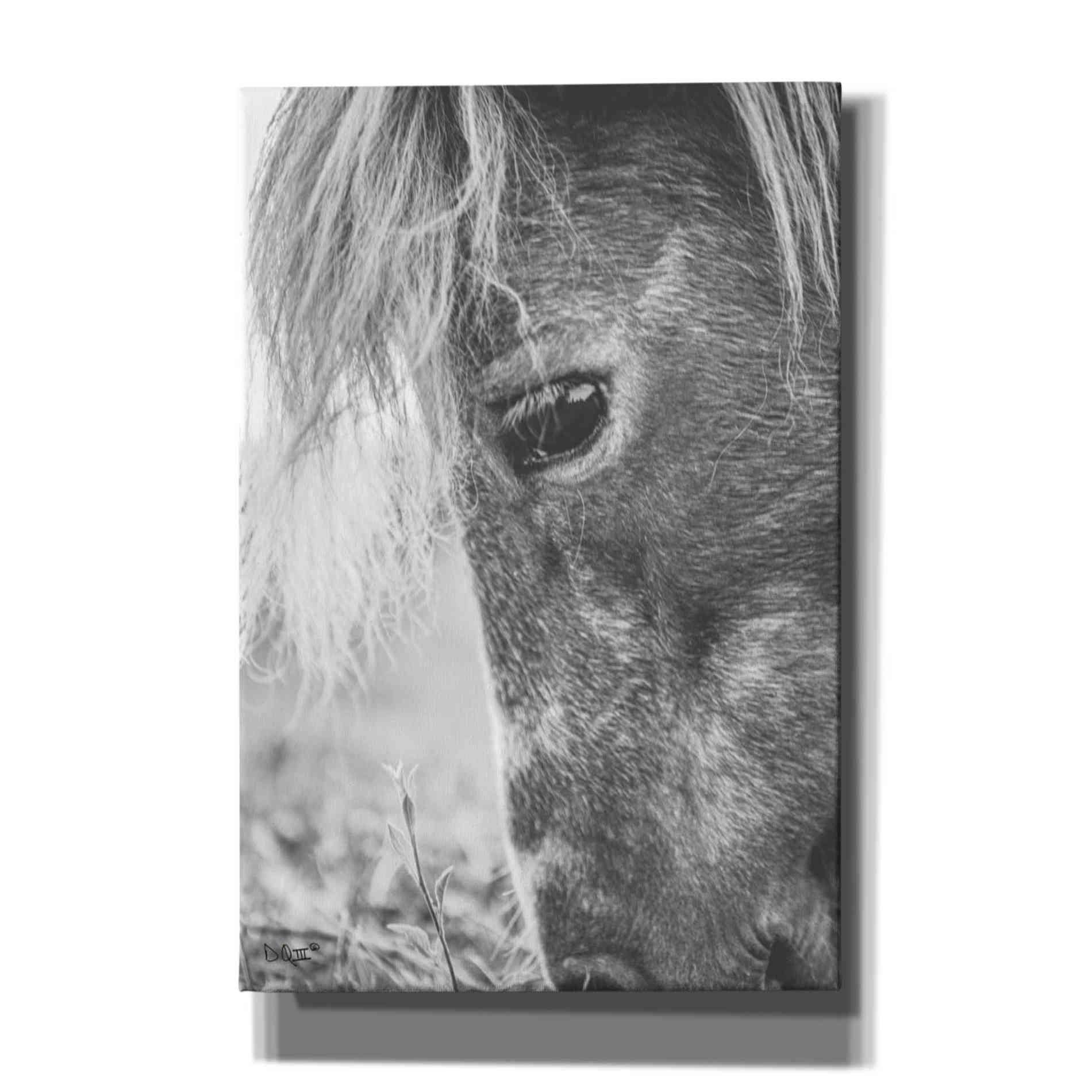 'Old Faithful' by Donnie Quillen, Canvas Wall Art