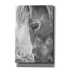 'Old Faithful' by Donnie Quillen, Canvas Wall Art