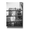 'Donkeys' by Donnie Quillen, Canvas Wall Art