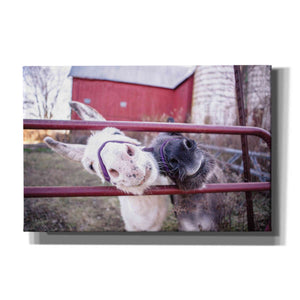 'Hey Donkeys II' by Donnie Quillen, Canvas Wall Art