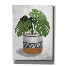 'Monstera Plant' by House Fenway, Canvas Wall Art
