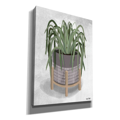 Image of 'Spider Plant' by House Fenway, Canvas Wall Art