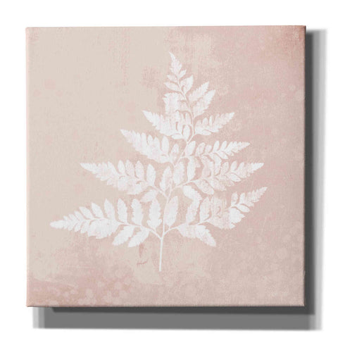 Image of 'Blush Fern I' by House Fenway, Canvas Wall Art