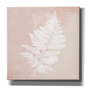 'Blush Fern II' by House Fenway, Canvas Wall Art