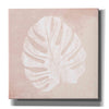 'Blush Fern III' by House Fenway, Canvas Wall Art