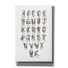'Flower Alphabet in White' by House Fenway, Canvas Wall Art