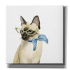 'Cool Cat II' by Grace Popp, Canvas Wall Art