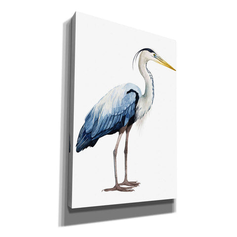 Image of 'Seabird Heron II' by Grace Popp, Canvas Wall Art