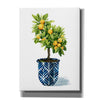 'Fruit Tree I' by Grace Popp, Canvas Wall Art