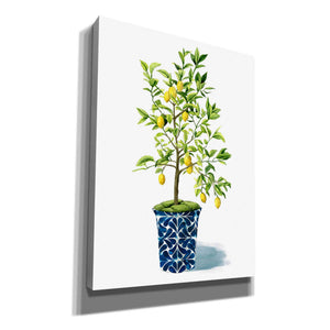 'Fruit Tree II' by Grace Popp, Canvas Wall Art