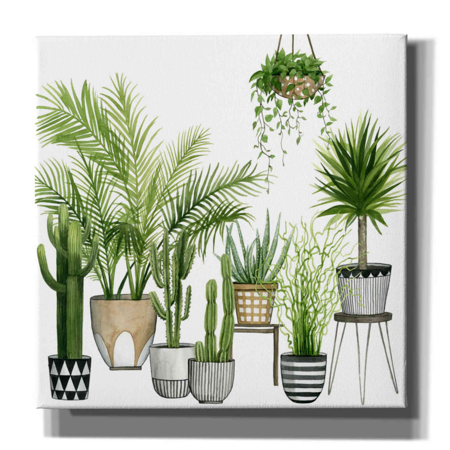 'Plant Haven II' by Grace Popp, Canvas Wall Art