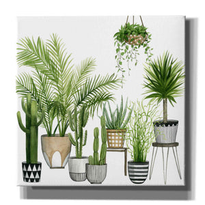 'Plant Haven II' by Grace Popp, Canvas Wall Art