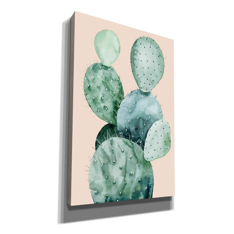 Image of 'Cactus on Coral II' by Grace Popp, Canvas Wall Art