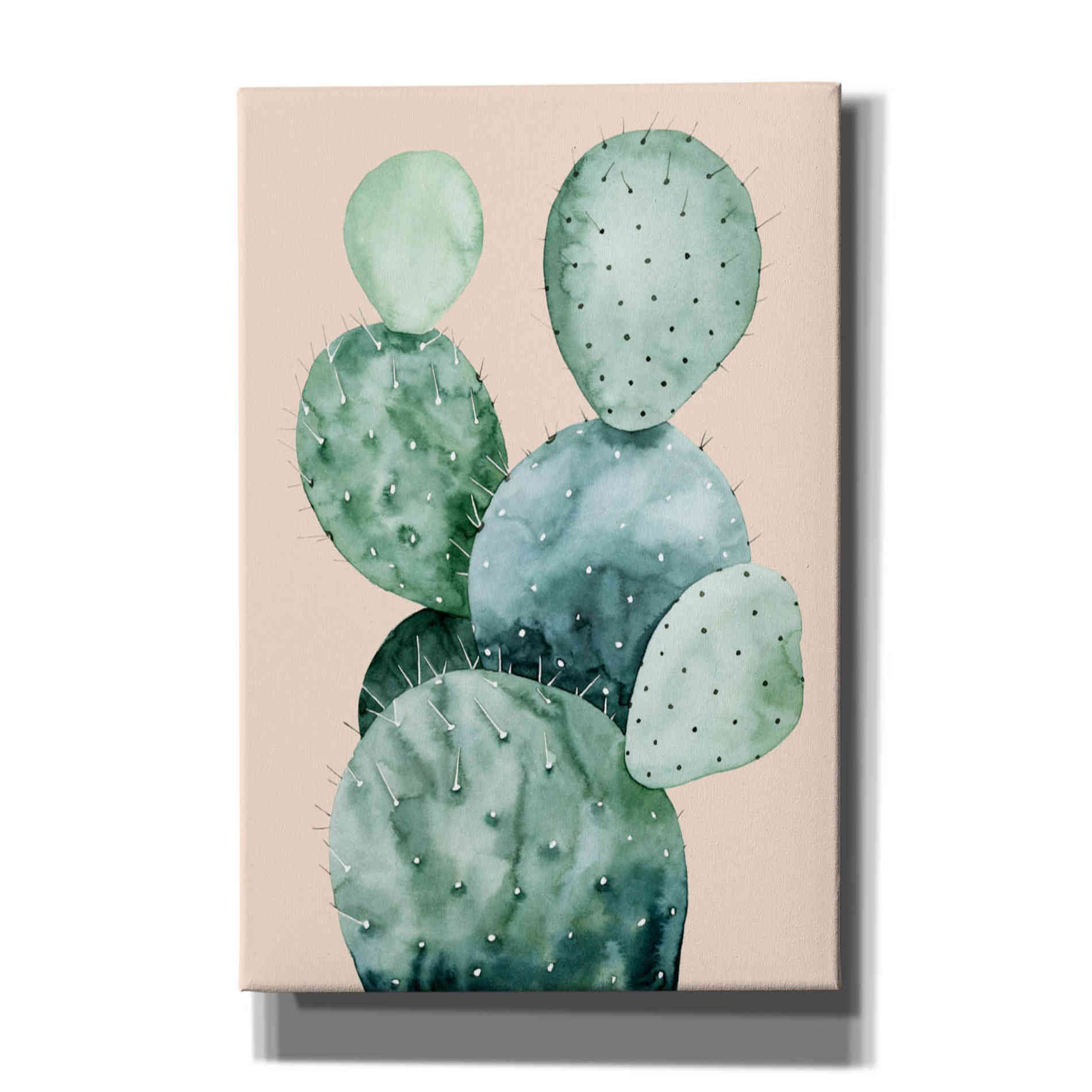 'Cactus on Coral II' by Grace Popp, Canvas Wall Art