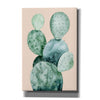 'Cactus on Coral II' by Grace Popp, Canvas Wall Art