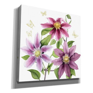 'Clematis Climb II' by Grace Popp, Canvas Wall Art