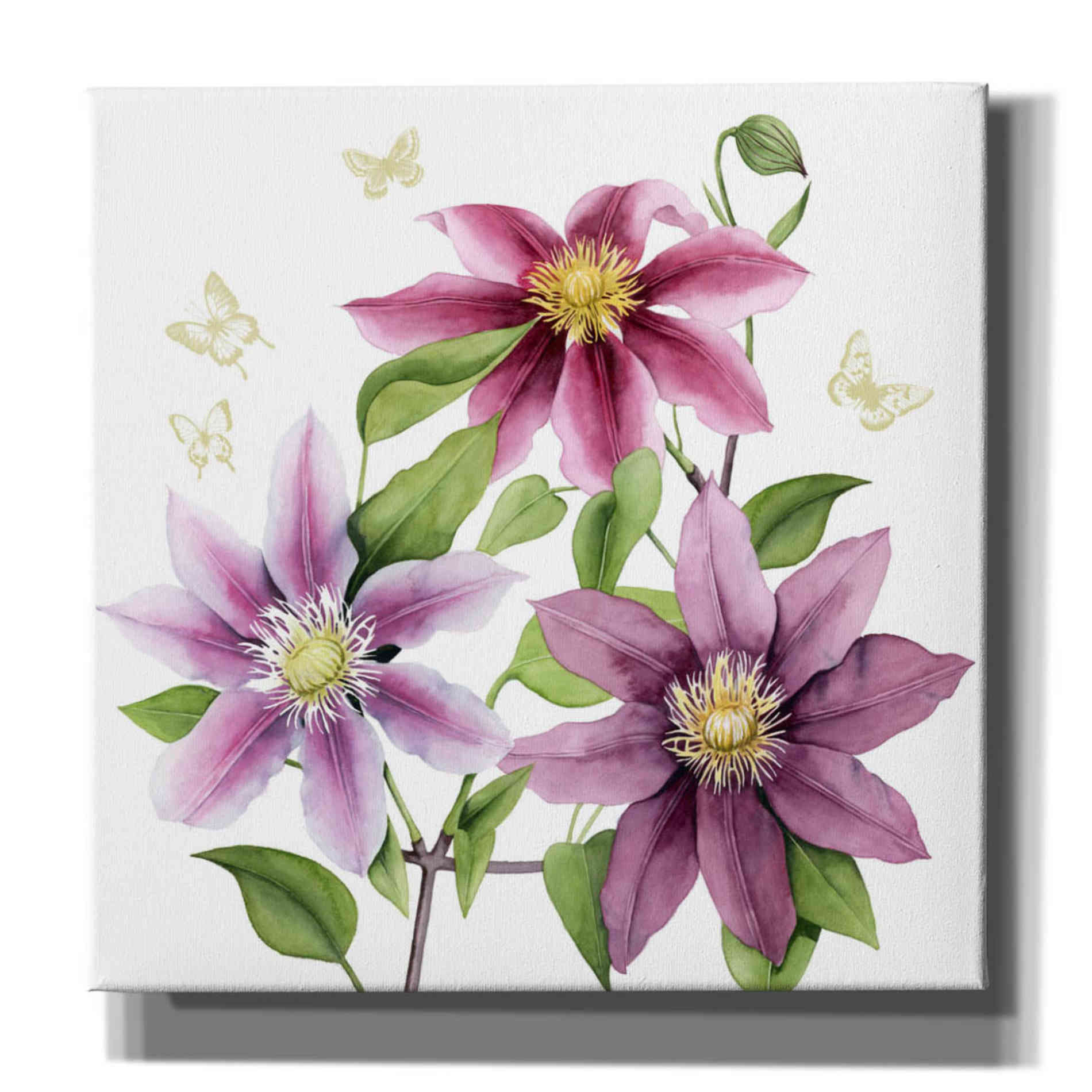 'Clematis Climb II' by Grace Popp, Canvas Wall Art