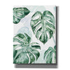 'Split Leaf I' by Grace Popp, Canvas Wall Art