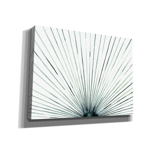 'Strobe I' by Grace Popp, Canvas Wall Art
