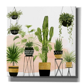 'Indoor Oasis I' by Grace Popp, Canvas Wall Art