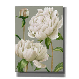 'White Peonies I' by Grace Popp, Canvas Wall Art