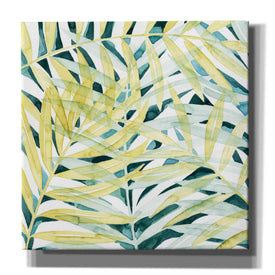 'Sunlit Palms II' by Grace Popp, Canvas Wall Art